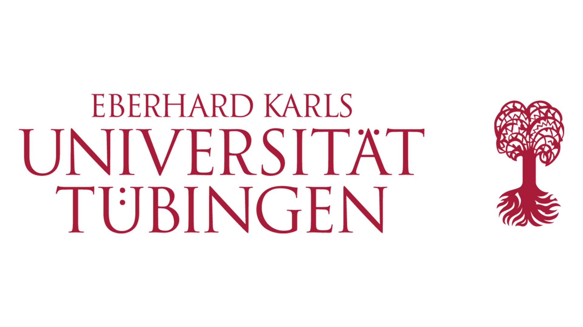 Universität Tubingen logo